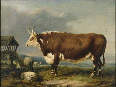 James Ward Hereford Bull with Sheep by a Haystack china oil painting image